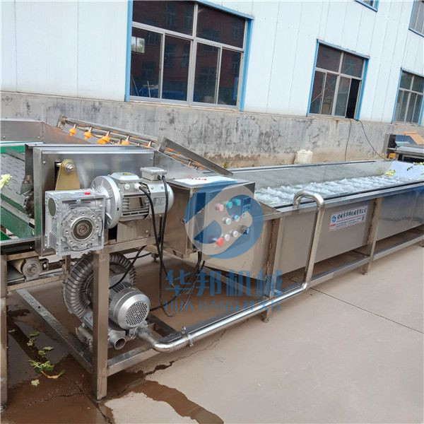 蔬菜清洗機(jī)