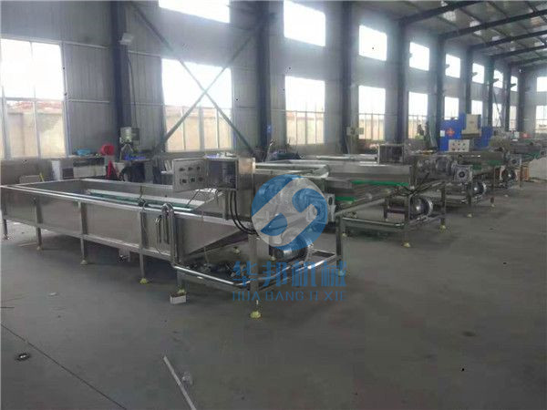 蔬菜清洗機(jī)