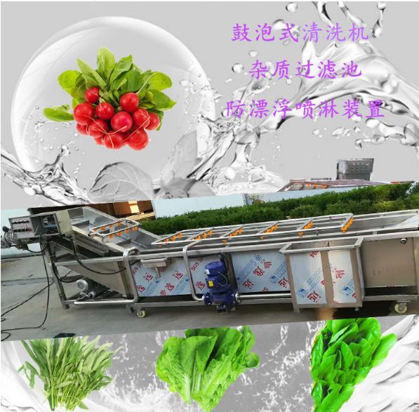 蔬菜清洗機 水果清洗設備