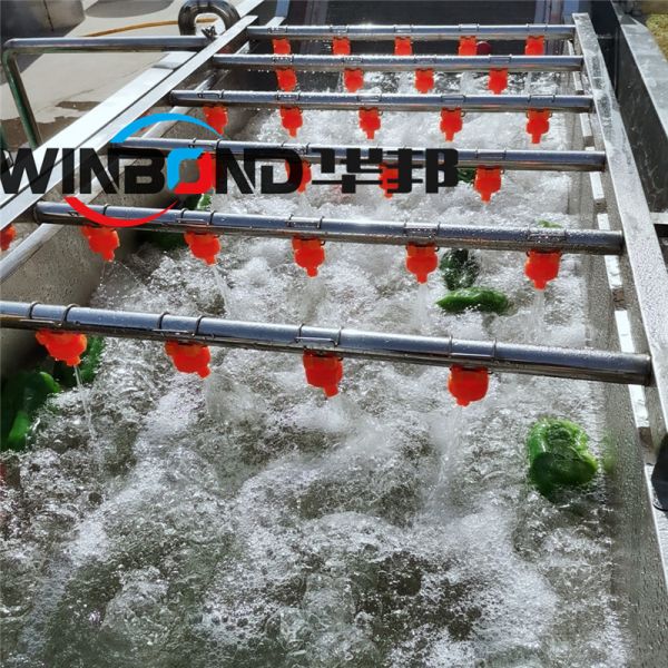 氣泡清洗機 辣椒清洗機 高壓噴淋果蔬清洗設備