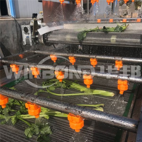 高壓噴淋洗菜機 水果清洗機 桃子清洗機