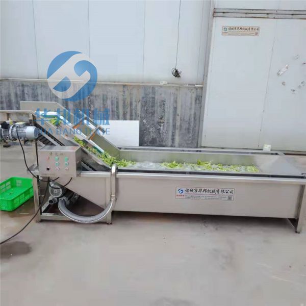 蔬菜清洗機 大型洗菜機 柚子清洗機