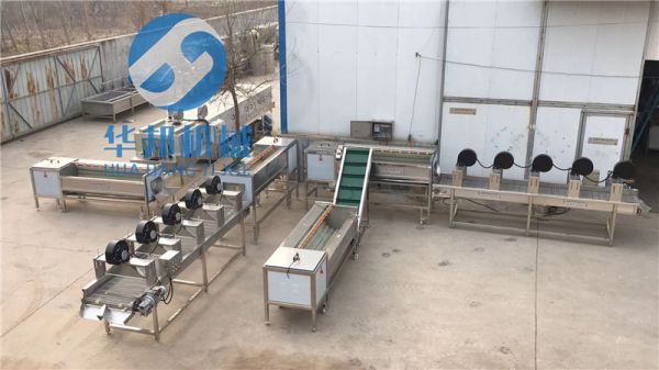 中藥材清洗機 蘿卜清洗風干設備 毛輥土豆去皮機