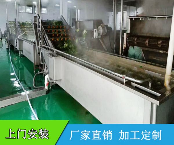蔬菜清洗機 水果清洗設備 連續清洗省人工