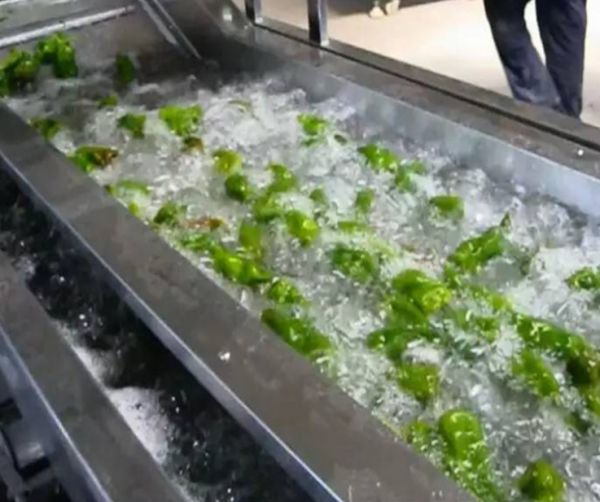 彩椒清洗機 氣泡蔬菜清洗機 商用洗菜機
