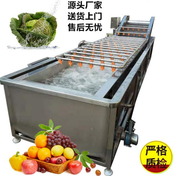多功能氣泡清洗機 蔬菜清洗機 蔬菜加工清洗流水線
