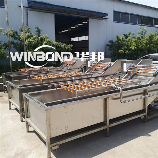 廠家定制全自動蔬菜清洗機 食堂商用洗菜機