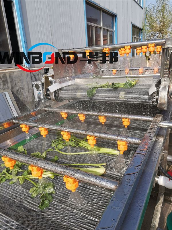 葉類蔬菜清洗機 辣椒清洗機 水果清洗設備