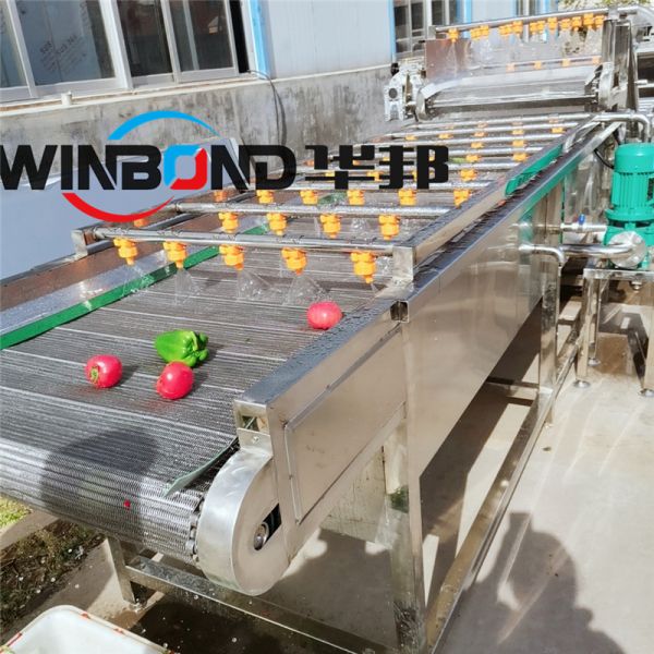 廠家直銷蔬菜清洗機 氣泡水果清洗機